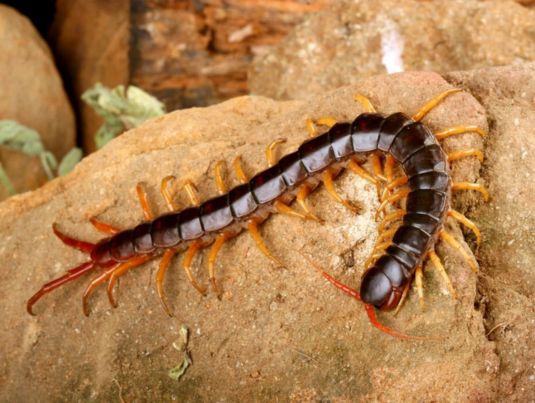 Untitled-design-41-1